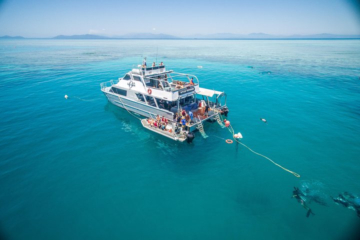 Ocean Freedom Great Barrier Reef Personal Luxury Snorkel  Dive Cruise Cairns - Accommodation Cairns